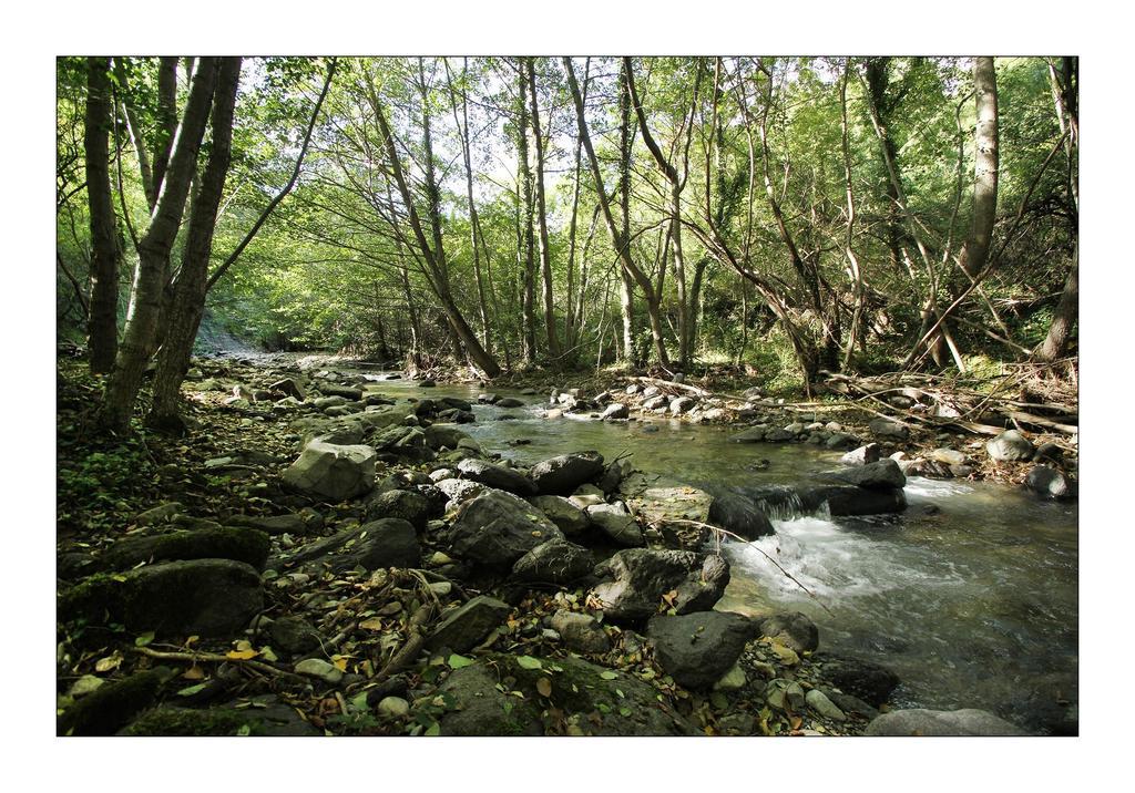 Ferme Du Pic D'Allier Panzió Saint-Martin-le-Supérieur Kültér fotó